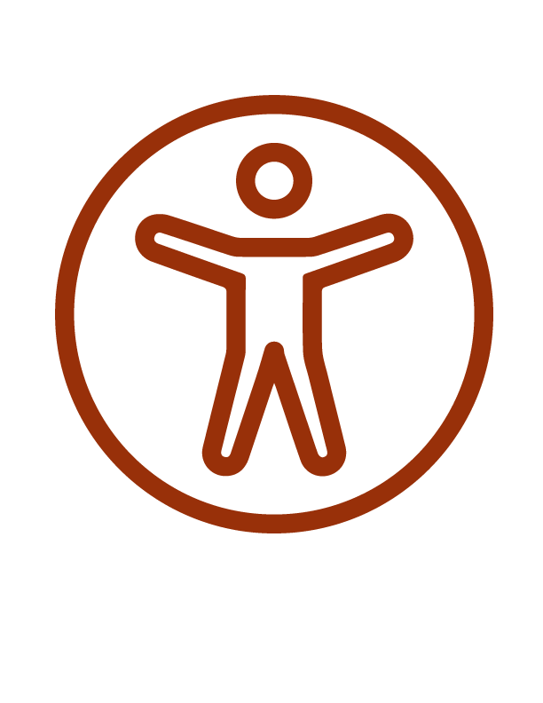 accessiblity icon orange